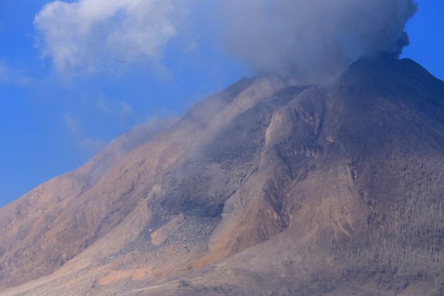 Fig. 1. Easterly view of erupting Sinabung volcano on 25 January 2014 (S. Nakada).