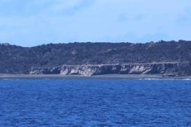 西側から撮影した西之島旧島（6月15日14:05）．砂州が発達し海とは隔絶している．