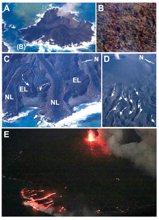 図2　航空機から観察した西之島噴火の様子．A: 成長する新島（2013年12月20日）．島の長軸は約500 m．B: クリンカーに覆われた溶岩流表面の拡大．写真の幅は約15 m．C: 海に流入する溶岩流先端部（2015年3月4日）．溶岩先端の幅は約50 m．NL—分岐が開始している新しい溶岩ローブ．EL—亀裂が発達し始めているより早い時期の溶岩ローブ．D: 膨張により亀裂が発達した溶岩ローブ群（2014年11月13日）．ローブ群の幅は約200 m．E: 赤熱する溶岩流先端部（2015年3月4日）．熱い溶岩がローブ先端に供給され成長していることを示す．A，Bは毎日新聞，C–Eは朝日新聞の協力による．