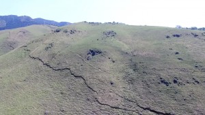 写真6　西原村小森牧野に出現した地表地震断層。岡山大所有のUAVを使用して撮影した。