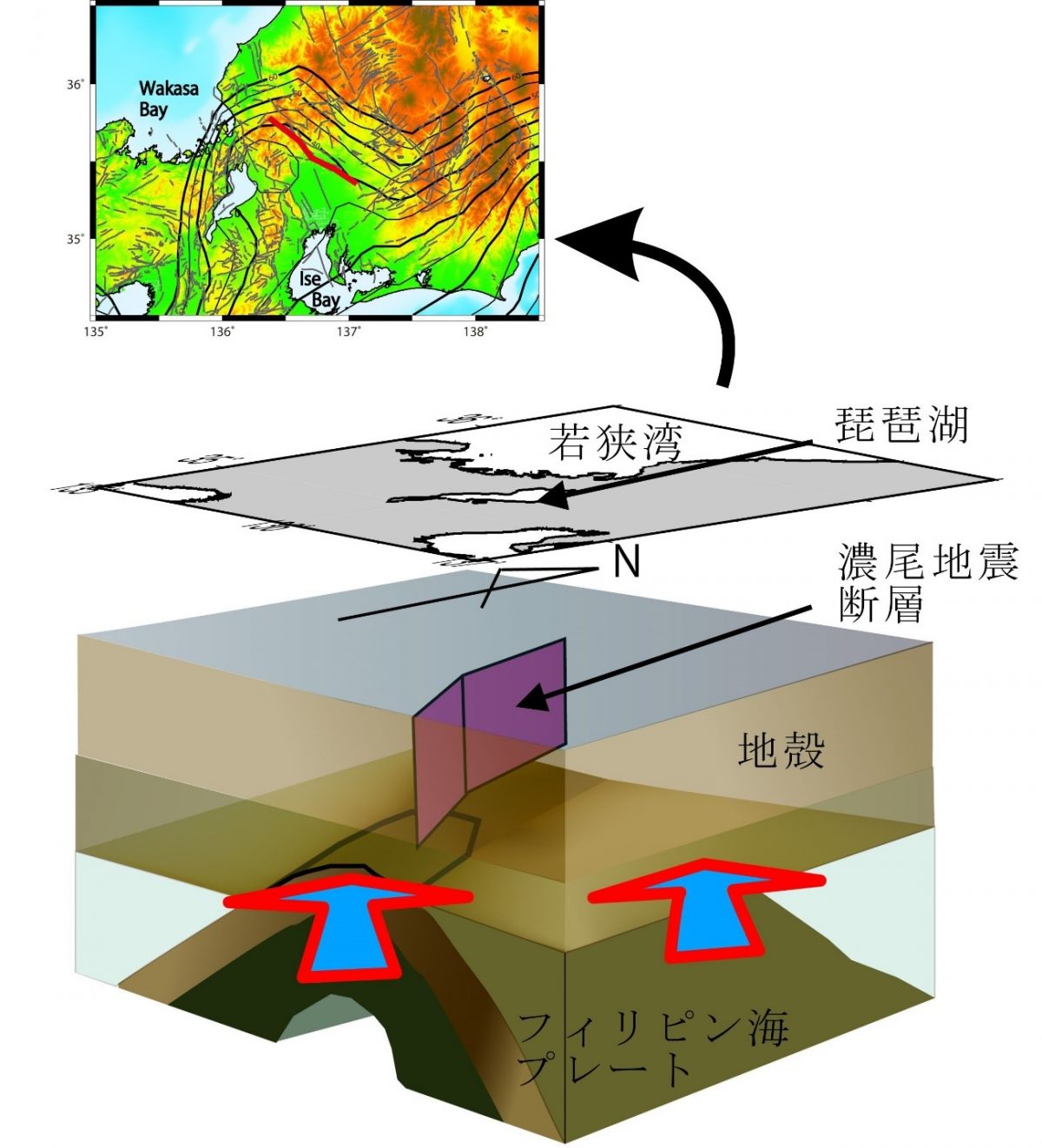 レシーバ関数解析から求められたフィリピン海プレーﾄと地殻の接触部の描像 11年濃尾地震 Mj8 0 の発生原因 東京大学地震研究所