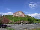 5月なのに桜が咲いている北海道・昭和新山