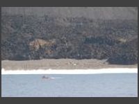 DSC_8052.JPG