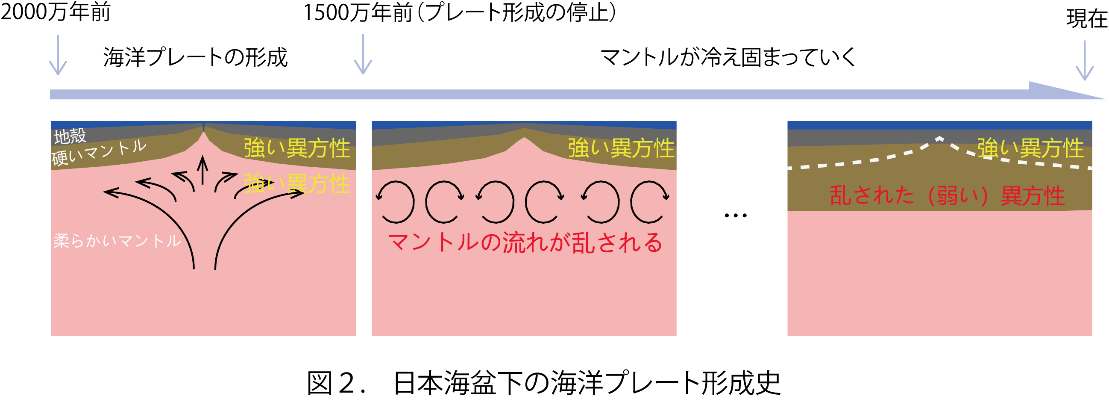 日本海盆の海洋プレート内部に見つかった予期せぬ不連続面