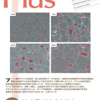 No.40（2023年8月号）特集：粒成長が地球内部を 支配している！？